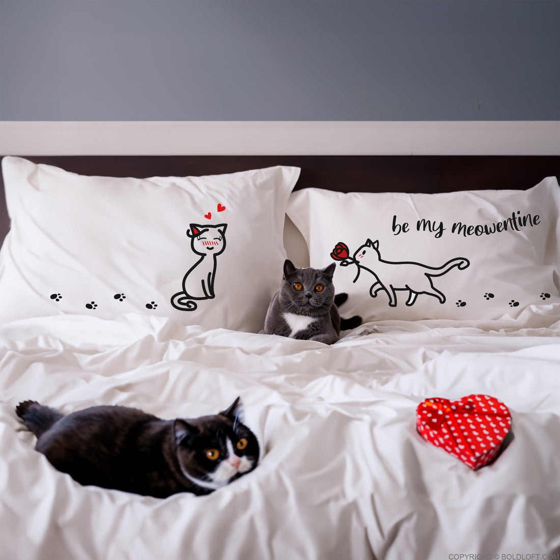 BoldLoft Be My Meowentine Cat Pillowcases for Couple, Valentine pillow covers for cat lovers
