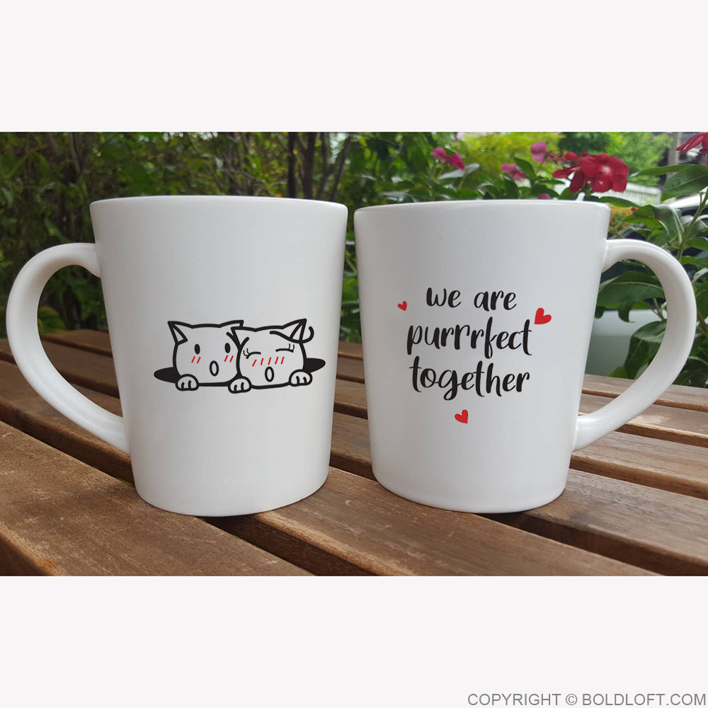 boldloft cat coffee mugs cat lover gifts cat gifts for couples anniversary valentines day wedding engagement
