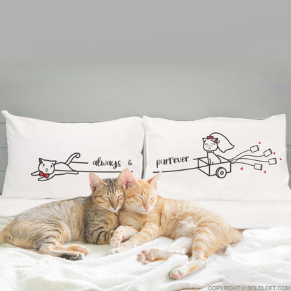 Always &amp; Purrever™ Cat Couple Pillowcases
